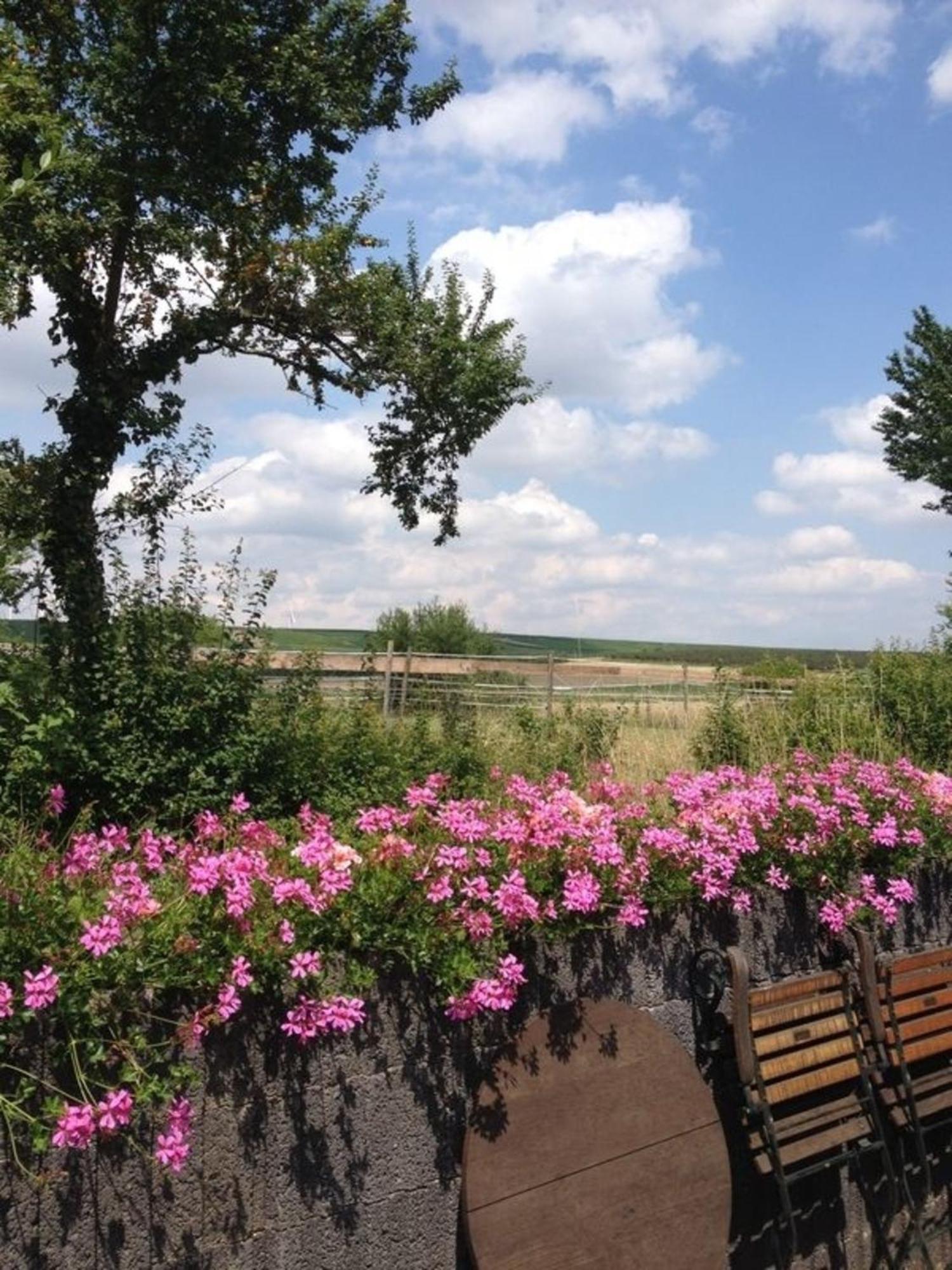Maisonette-Ferienzimmer Am Backhausgarten ฟลูนไฮม์ ภายนอก รูปภาพ